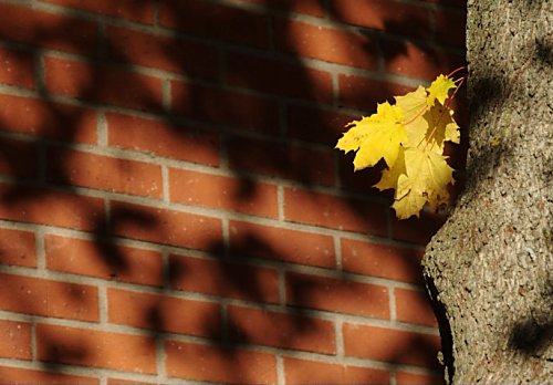 Schatten an der
Wand