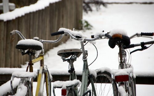 Erster Schnee
2007