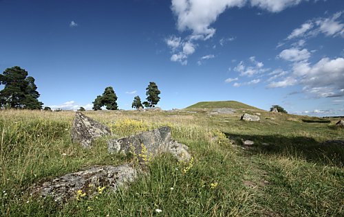 Der
Hågahügel