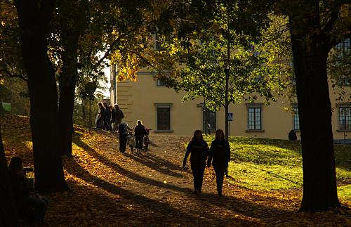 Herbstsonne