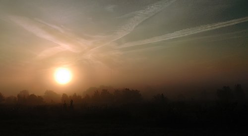 Heute morgen auf dem Weg ins
Institut