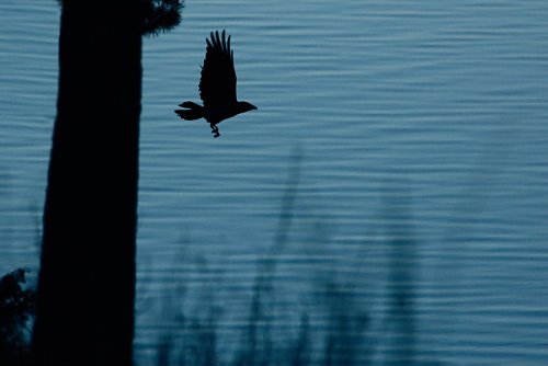 Abendlicher
Rundflug