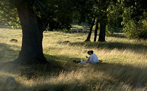 Picknick