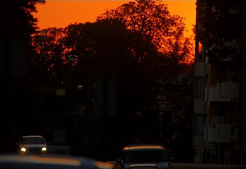 Abendrot in
Uppsala