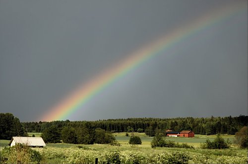 Regenbogen über weitem
Feld