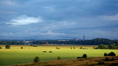 Uppsala Schloss und
Dom