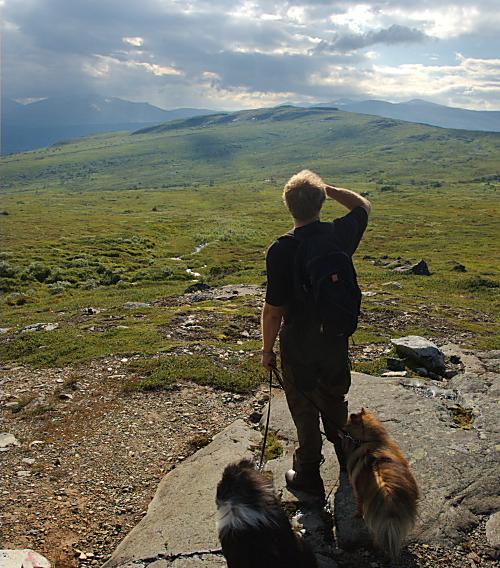 Aussicht über das
Vålåtal